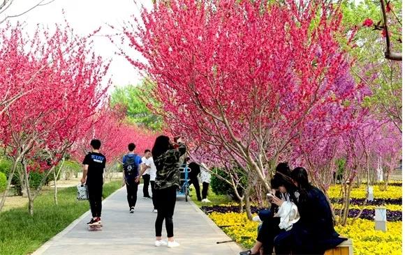 绿博园：2019春季问花节3月30日开幕
